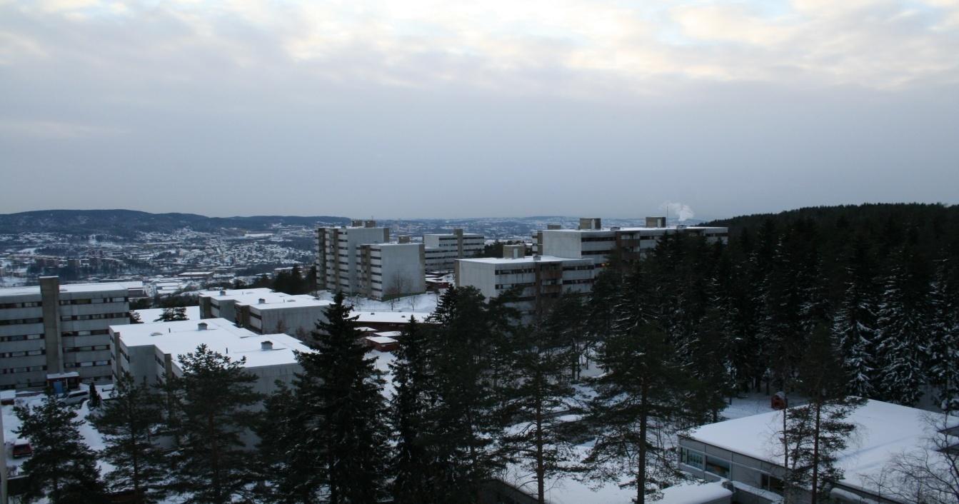 ROMSÅS 3 roms andelsleilighet med innglasset balkong, herlig utsikt og garasjeplass ADRESSE: Oddvar Solbergs vei 210, 0973