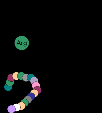 Grunnbestanddelene i DNA er fire små molekyler (ofte kalt baser) representert ved bokstavene A, C, G og T.