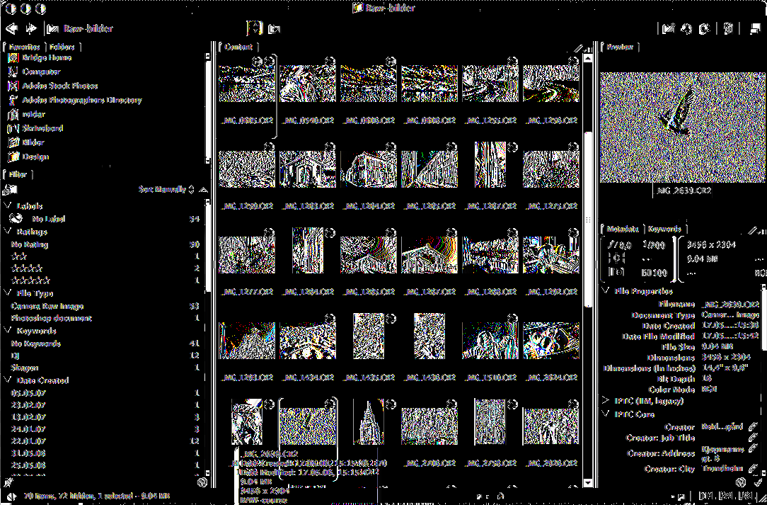 Øvelse 3.2 Organisering av bilder med Adobe Bridge Skjermbilde fra Adobe Bridge. Til venstre finner du Filter-området, hvor filenes egenskaper og metadata er oppsummert.