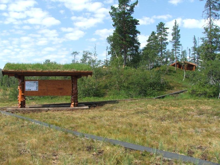 Fjellsloghogst ved Lustadvatnet på Gaulstad. SKOGKULTUR Det er i året investert ca.kr.305.000 til skogkultur. Til dette er det mottatt kr. 42.900 i statsbidrag.