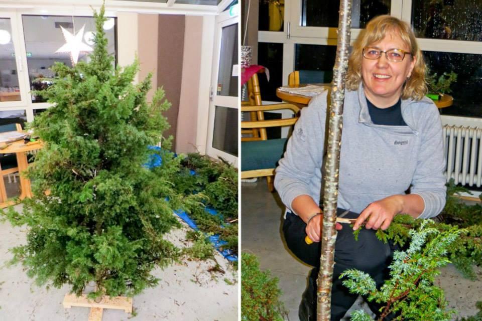6 Husflidskonsulenten i Nordland har demonstrert juletrebygging, en teknikk som kvalifiserer seg til rødlista. Bildene under viser ferdig bygd einejuletre og juletrebygging i prosess.