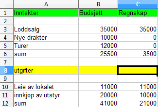 Oppgave 6) Forslag til hvordan de kan bruke regnearket til å sette opp enkle budsjett og regnskap.