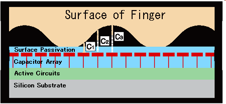 Fingeravtrykksensorer Bilde fra Fujitsu Kapasitiv sensor: Pro: Ikke følsom for skitten