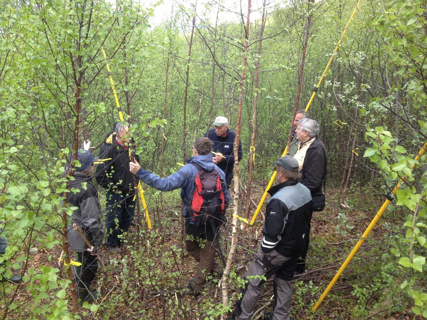 VEILEDNING I TROMS 2013 1 skog- og skoledag 1 skogkveld 8 timer med møter 50 enkelttimer i veiledning av skogeiere.