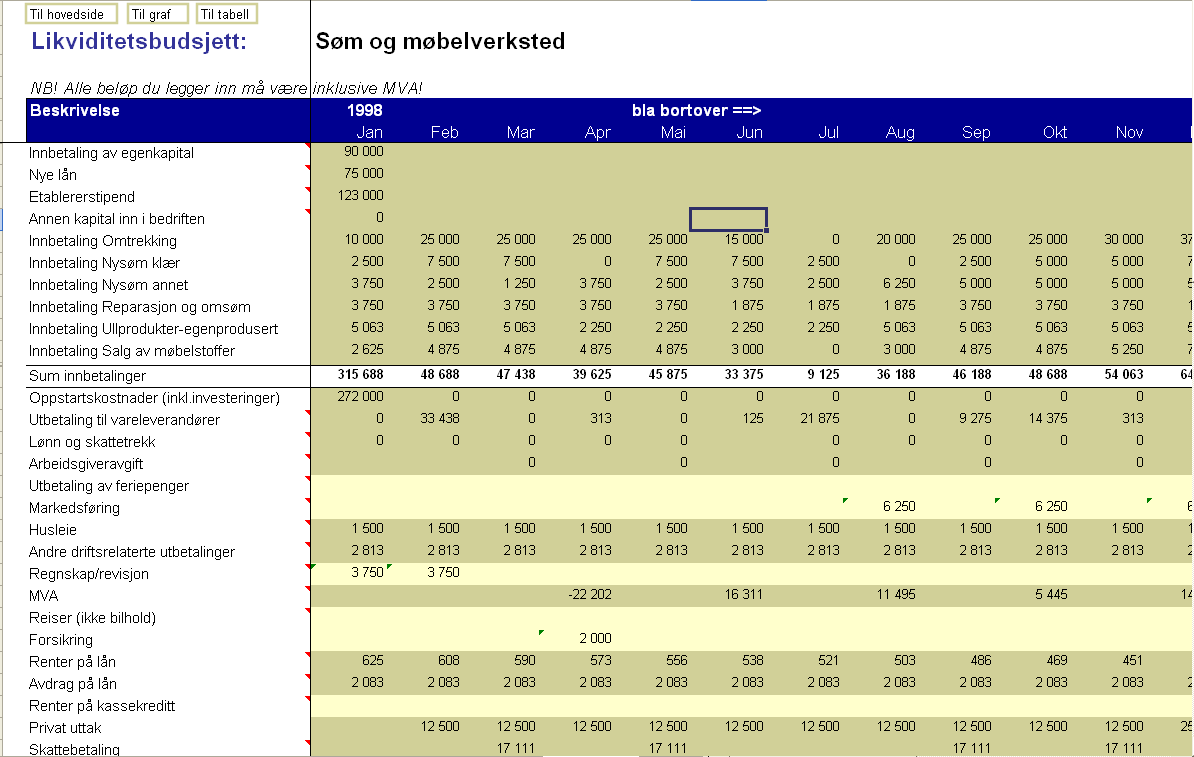 Økonomi og