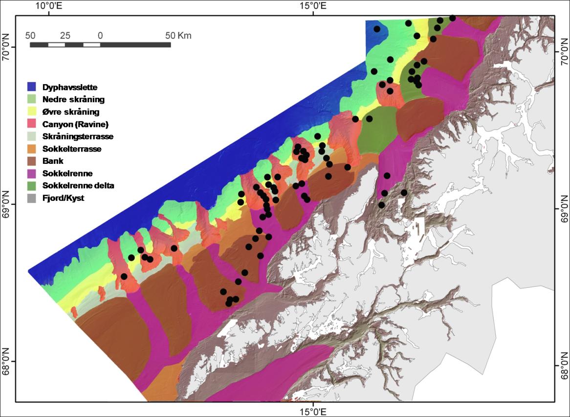 Noen resultater fra kartleggingen: Områdene som ble kartlagt med video og bunnprøvetaking i 2008 dekket til sammen 16 000 km 2 og mange nye og spennende geologiske og biologiske observasjoner ble