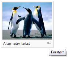 Hvordan bruke bilder som er lastet opp Nå som vi har lastet opp bildet Penguins.jpg kan vi bruke dette navnet når vi ønsker å bruke dette bildet i en artikkel.