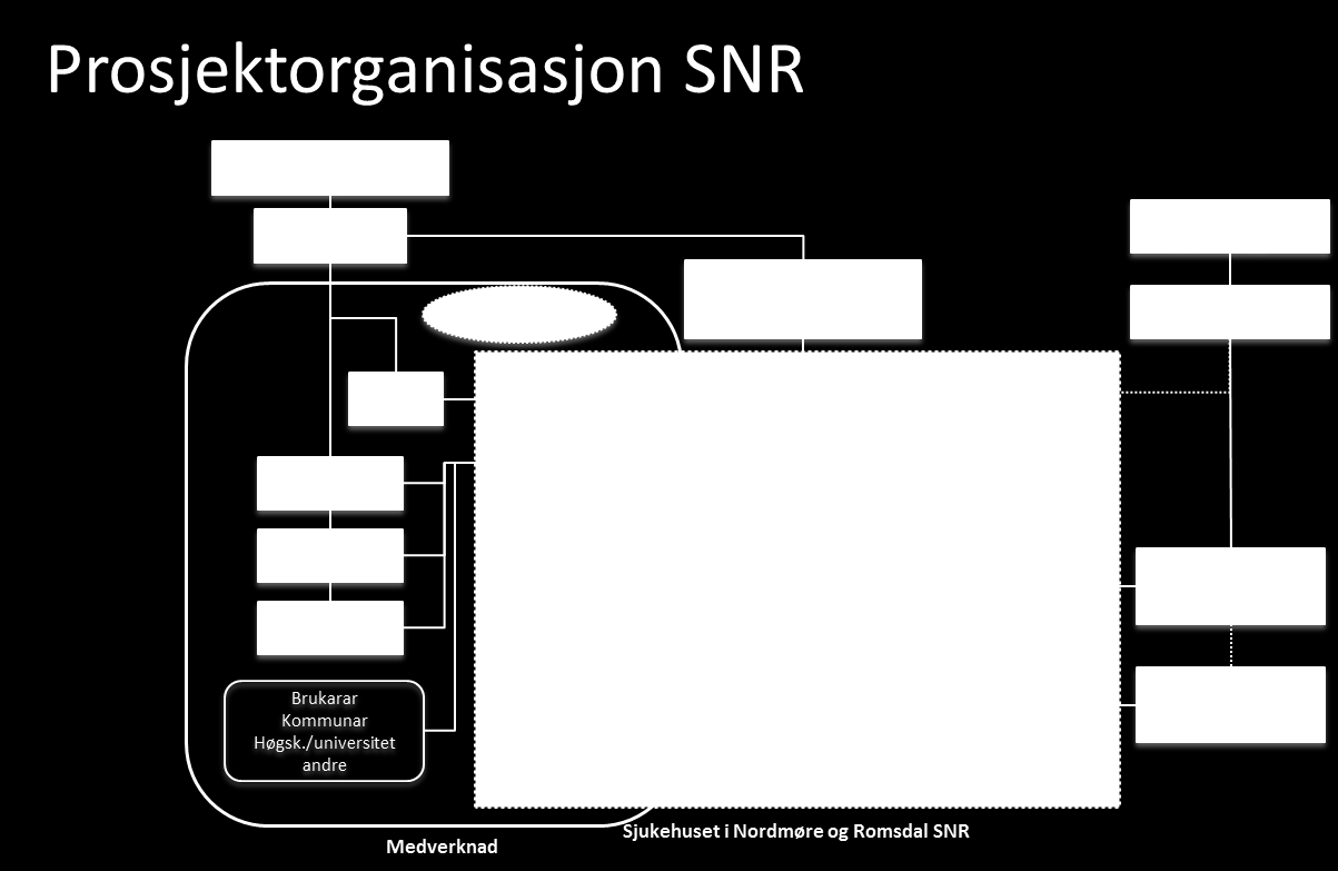 4. Styrehonorar. Opprettinga av prosjektstyret byggjer på saksutgreiing og styrevedtak i Helse Midt-Norge RHF og Helse Møre og Romsdal HF. Sykehusbygg HF er under etablering.