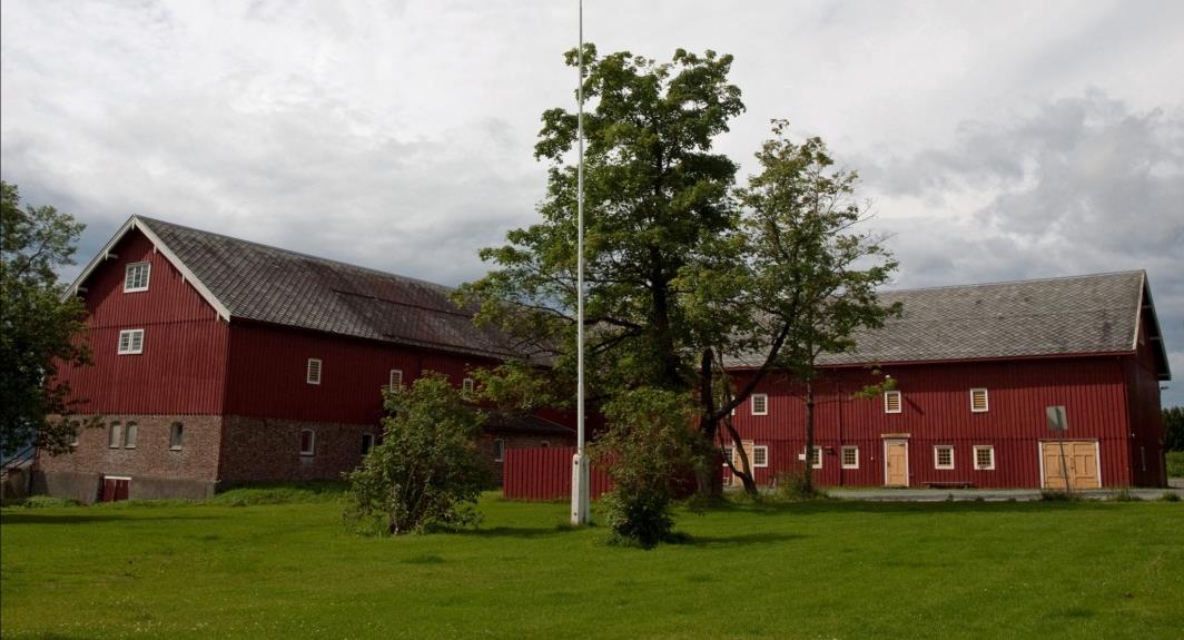 Satsingsområder: Fornybar