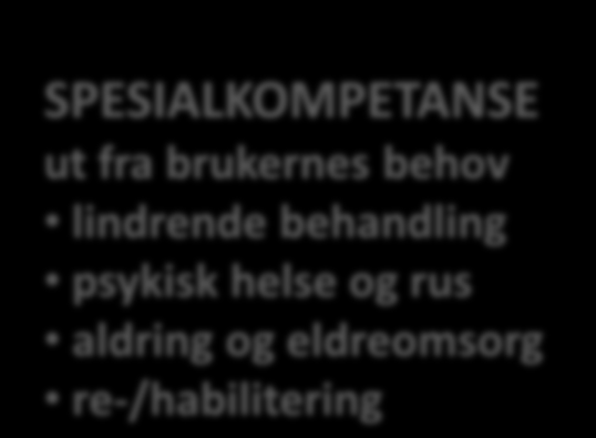 eldreomsorg re-/habilitering TJENESTEANSVARLIG Har faglig beslutnings- og fremdriftsansvar for bruker og vurderer ofte behovene ved direkte tjenesteyting