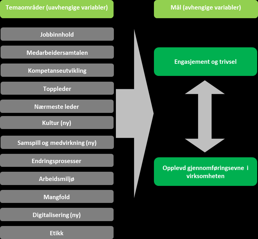 Figur 1 Forklaringsmodell Modellen tar utgangspunkt i at det er et gitt sett av temaområder (i alt 12 temaer) som er viktige for medarbeiderne når det gjelder eget arbeidsmiljø.