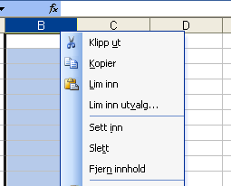 Konseptet bak Excel er referansepunkter bestående av ett tall og en bokstav. Et regneark består av loddrette kolonner (bokstav) og vannrette rader (tall). Regnearket begynner med cellen A1.