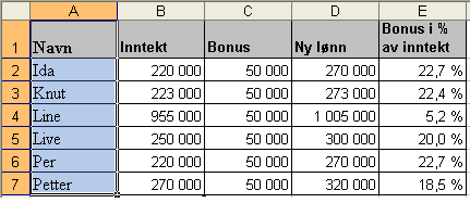 1) Lag sikkerhetskopi Dersom du skal bearbeide data bør du har en sikkerhetskopi av dine data. Legg disse i Ark 2 på bunnen. Merk, kopier og lim inn.