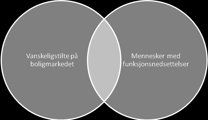 Mennesker med funksjonsnedsettelser i boligbehovsplanen Side 11 Med funksjonsnedsettelser menes fysiske funksjonsnedsettelser, psykiske lidelser og utviklingshemming.