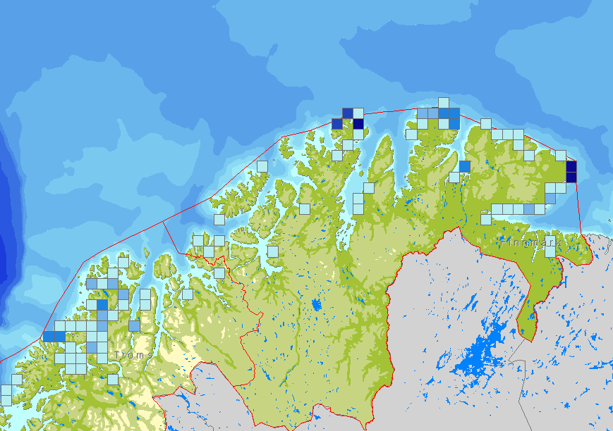 Praktærfugl (Somateria spectabilis) Praktærfugl, fugleart i andefamilien. Praktærfuglen er litt mindre enn vanlig ærfugl.