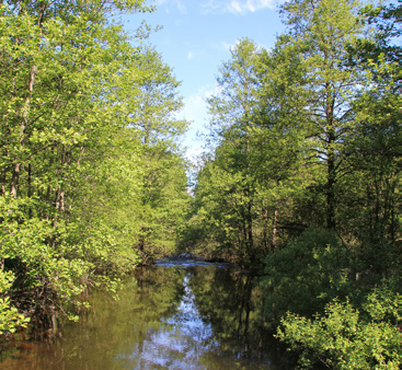 Gjersjøelva.