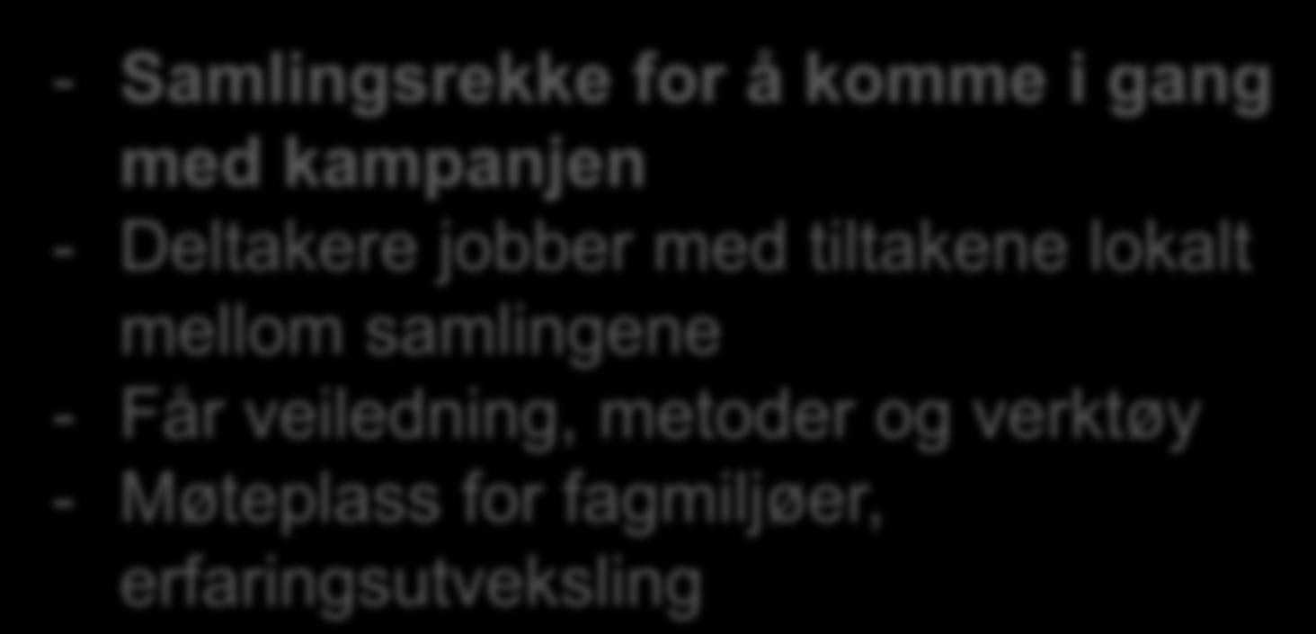 Læringsnettverk - Samlingsrekke for å komme i gang