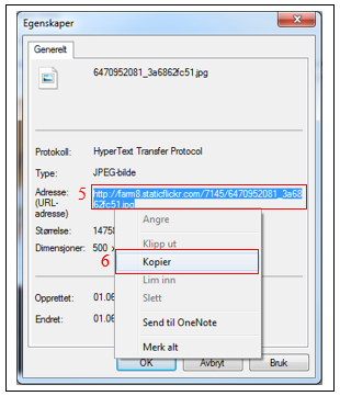 7. Nettadressen (URL) til bildet vises 5, du kan merke og klikke på høyre knapp for å kopiere den 6 for å bruke den i neste rubrikk (Sett inn et bilde