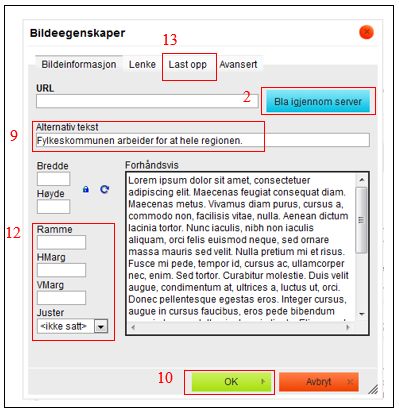 3. Trykk på Bla gjennom server 2 4.