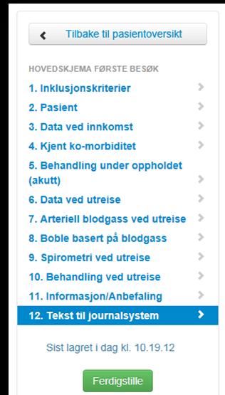 12 Lagring og ferdigstilling Skjemaet lagres automatisk for hver gang noe blir ført inn.