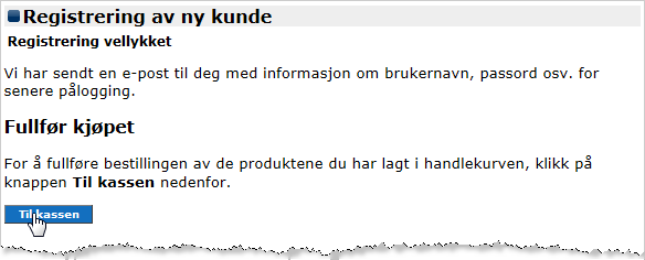 I Registrering av ny kunde (side 3 av 3) må du skrive inn et passord, se eksemplet vist i Figur M. Et godt passord består av både store og små bokstaver, samt tegn og/eller tall.