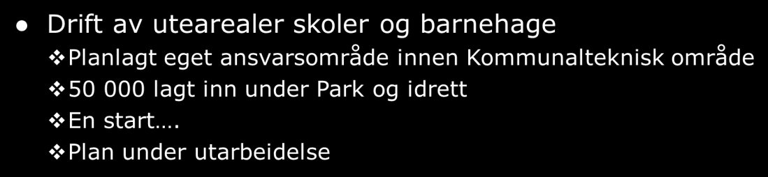 Utfordringer våre grunnskoler Kompetanseutvikling Drift/vedlikehold bygg Drift uteareal Drift IT Skolebibliotek Oppgradering/påfyll inventar Strategiplan for skolebibliotek Alstahaug kommune