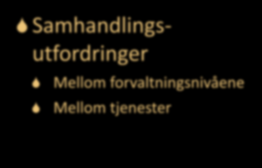 Etablere et bilde av utfordringene S Kvalitetsutfordringer S S S S S For mange meldinger henlegges For mange undersøkelser henlegges Barn