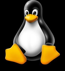 Tjenesteplattform, applikasjonsteknologier Linux mix & match forskjellige distribusjoner og versjoner.