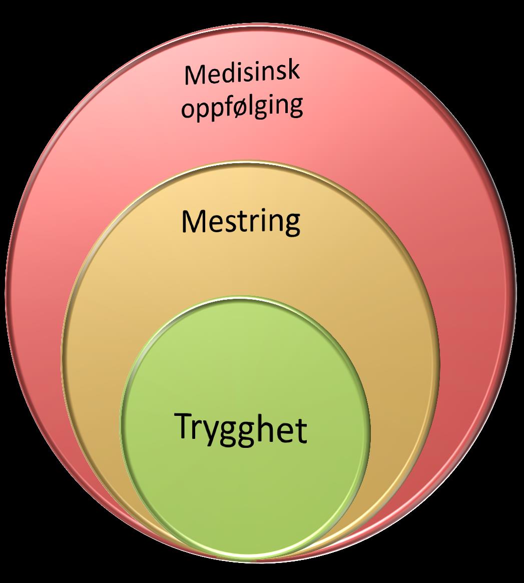 Gir mestring i dagliglivet Trygghetspakke: Gir bruker og