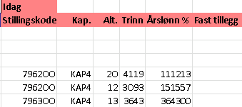 Excel-rapporten er inndelt i tre hoveddeler. Første del viser basisopplysninger omkring den ansatte og tilhørende stilling.