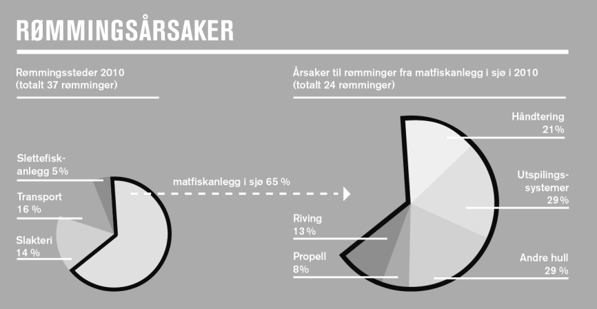 Figur A.2 viser for 2010 hvor i verdikjeden rømming finner sted NÆRMERE OM LAKSELUS OG SMITTE Lakselus er den vanligste parasitten på laks.