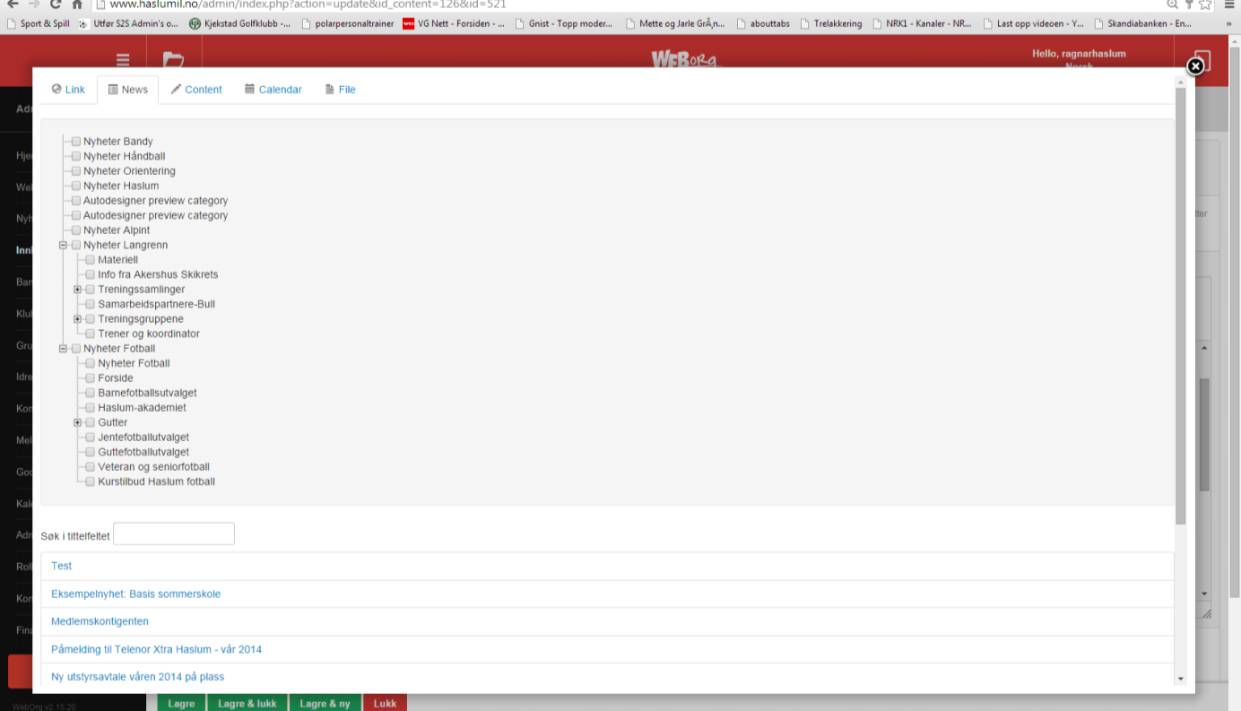 Nå kommer en ny stor ramme opp. Som det fremgår av rammen kan man her velge å lage linker både til nyheter, andre innholdssider, kalendere og filer. Vi skal linke opp filer og velger det.