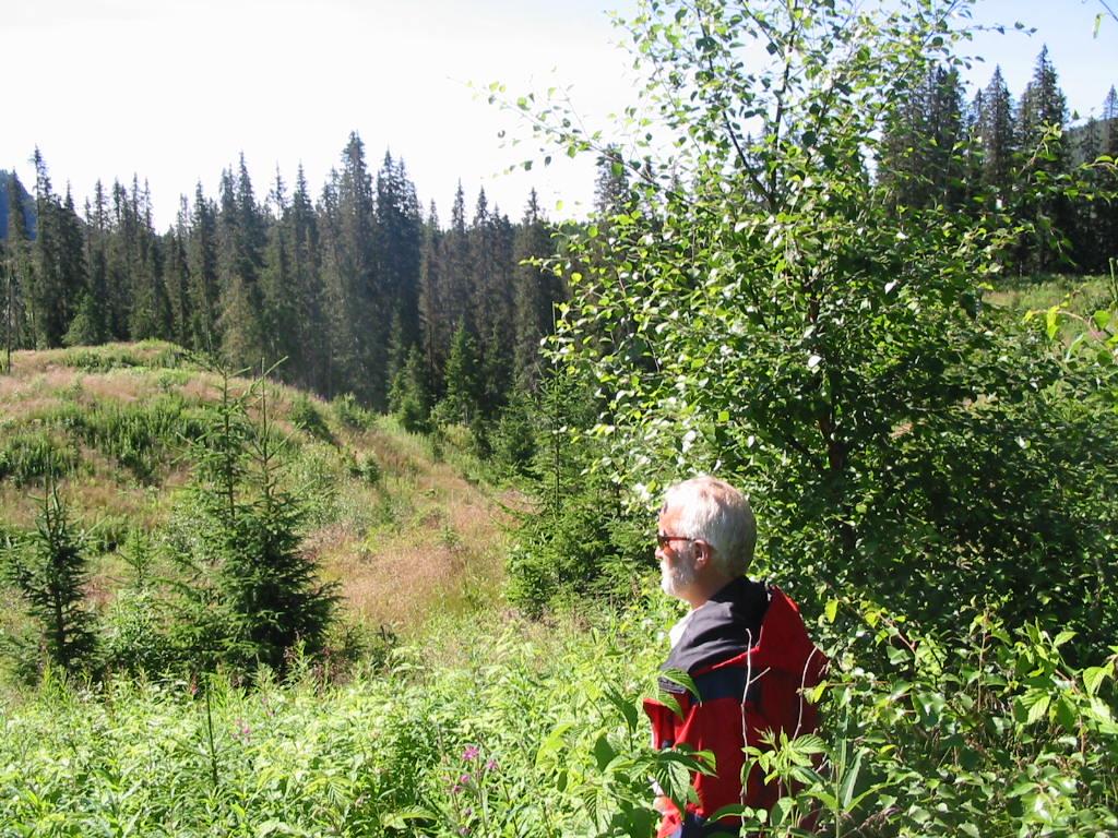 Tilbud på skogbruksplan i Melhus Skogbruksplanen gir deg oversikt over skogens ressurser. Den er ditt beste hjelpemiddel til en aktiv utnyttelse av din eiendom.