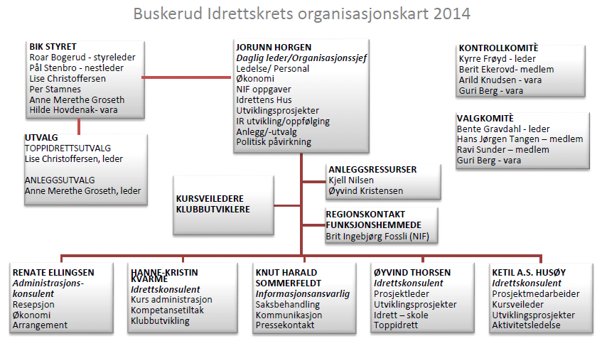 I Buskerud er det 19 idrettsråd. Kommunene Hemsedal og Flå har ikke et eget idrettsråd. I Buskerud er det 389 idrettslag med til sammen 92.