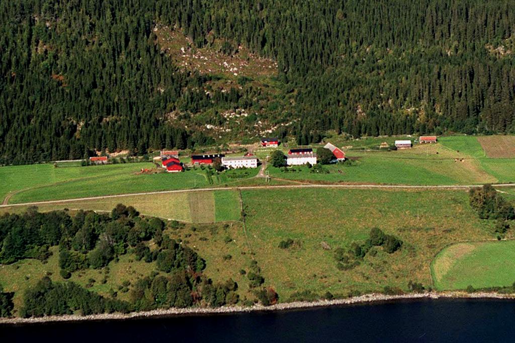 Min verden av muligheter Stavrum Østre Sau, Gården som pedagogisk ressurs, gris, geit, høns Bonde