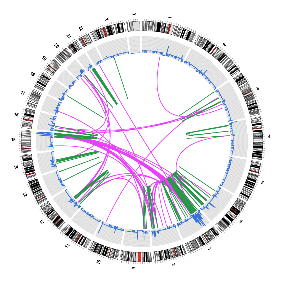 Next Generation Sequencing (NGS) and DNA Copy number analyses: Circo-plot: Molekylær karyotype
