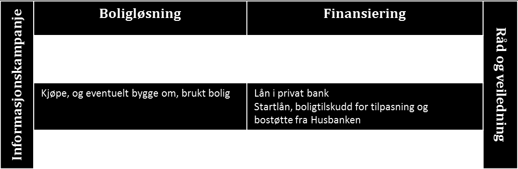 Figur 1: Boligløsninger i Ungboprosjektet i Steinkjer 20116 5.