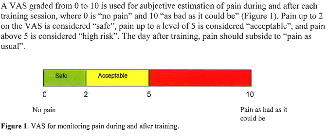 Smerte og trening Ingen smerte Verst mulig smerte Thomee et al.