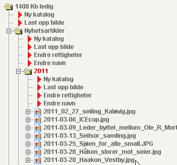 Deretter må du angi Dokumenttype og trykke Lagre. (Navn på bilde trenger man ikke angi her, men man kan angi fotograf om man vil).