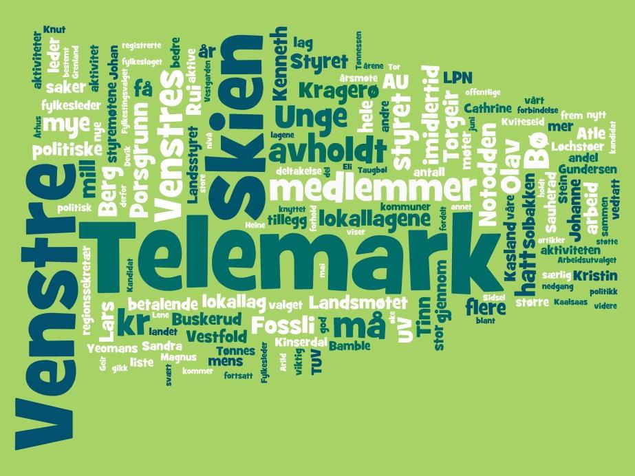 Styret mener vi skal klare å styrke Telemark Venstre også i årene som kommer. Lokallagene og fylkestingsgruppen gjør et godt politisk arbeid i sine respektive kommuner/fylkesting.