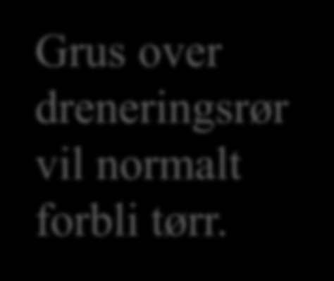 Grus over