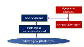 HVORDAN FØLGER VI OPP ET KLYNGEPROSJEKT?