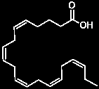 Linol syre LA (18:2 n-6) Alfa-linolensyre ALA (18:3n-3) Arakidonsyre AA (20:4 n-6) Enxymer, bl a COX Eicosapentaensyre EPA (20:5