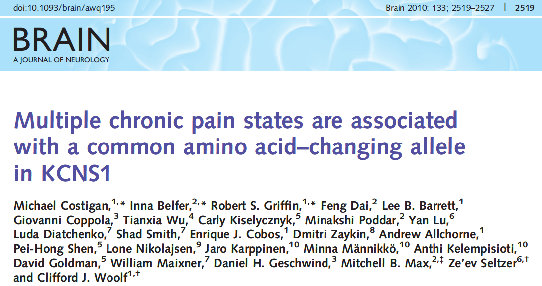 One new and promising genetic risk factor- a potassium channel subunit