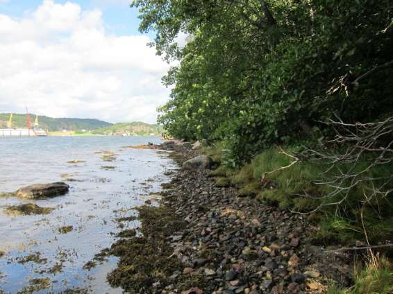 hensiktsmessig med en kyststi gjennom et beiteområde. De to mulighetene møtes på nordsiden av gården, der stien går videre nordover, til den kommer ut på en ny vei.