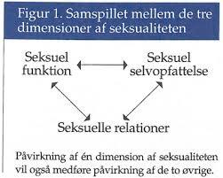 Seksuelle utfordringer kan være: Fysiske og ha direkte påvirkning på