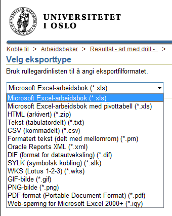 Velger man å ta med pivottabellen kan man selektere dataene i Excel i stedet for i rapportløsningen, noe som går raskere.