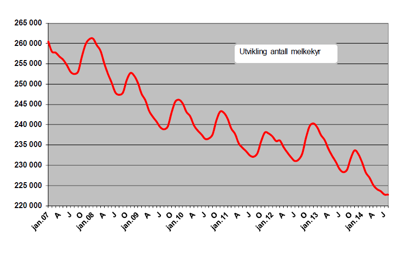 Utvikling i antall melkekyr Mathallen