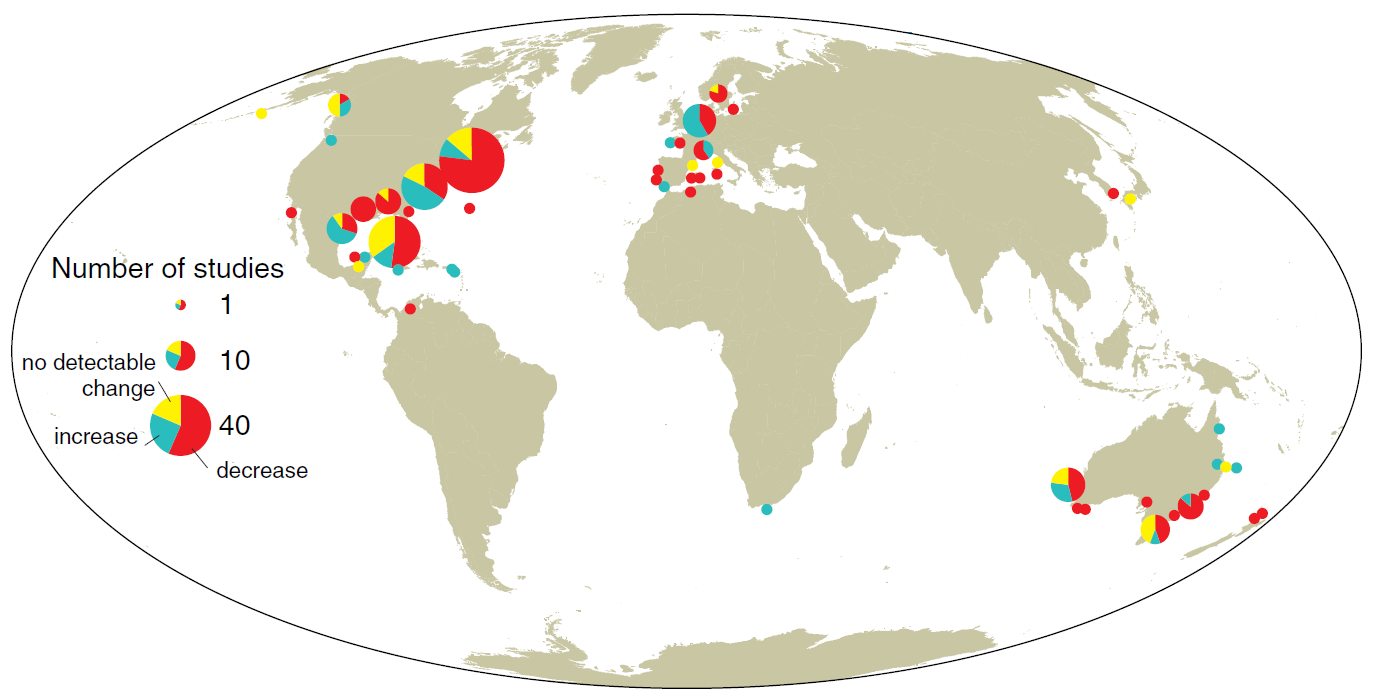 11 2009). Trusselfaktorene er stort sett ens over hele verden og internasjonale erfaringer er nærmere beskrevet i kap 6. Figur 5. Kart som indikerer endring i global forekomst av sjøgras.