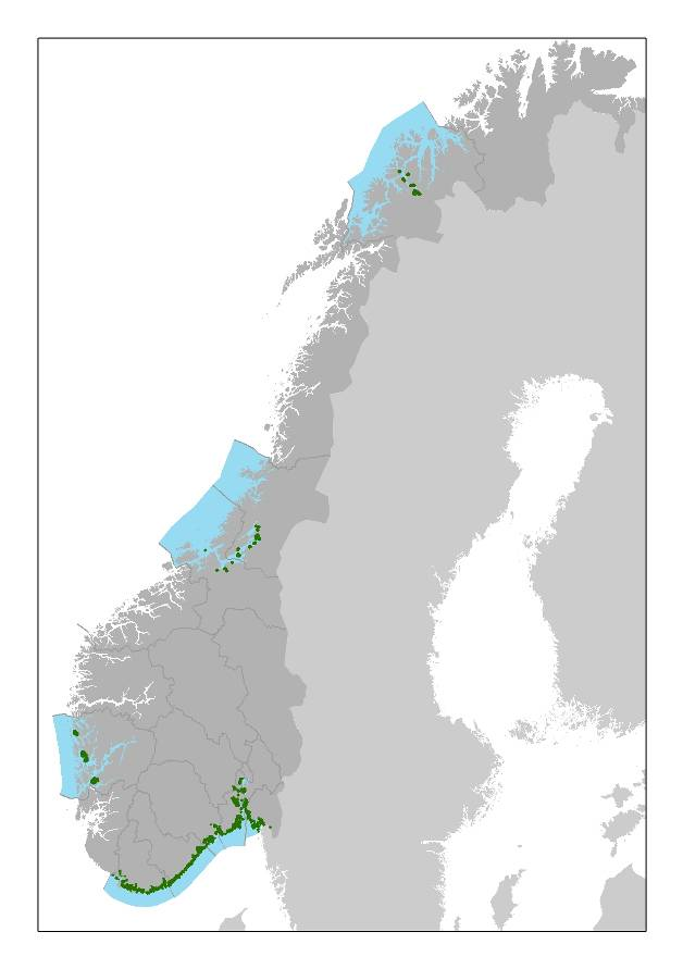 13 Figur 6. Kart over ålegrasenger (grønne felt) kartlagte i Nasjonalt program for naturtypekartlegging pr 2010. Ferdig kartlagte fylker er markert med blått.